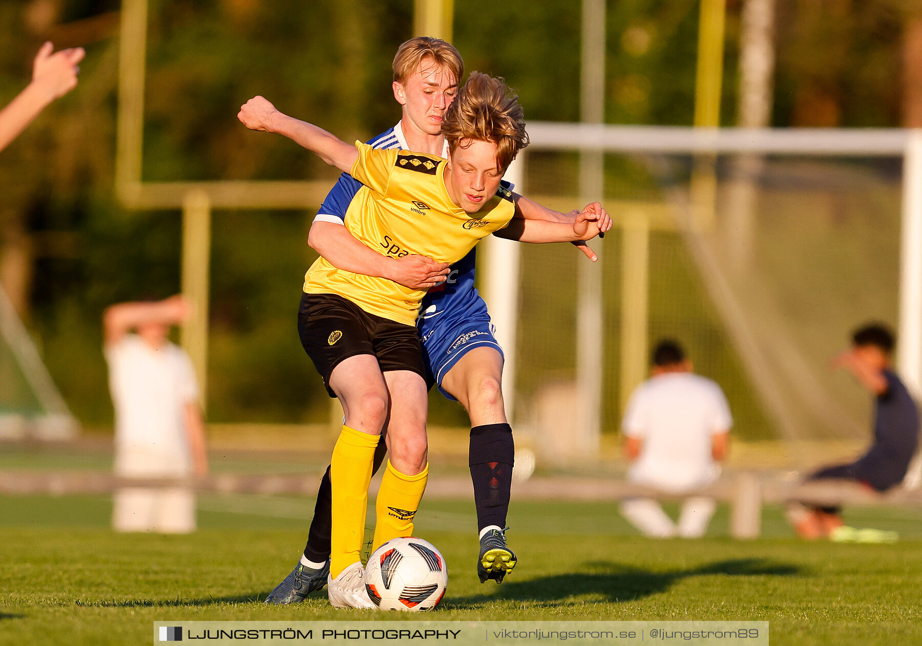 Division 3 U16 IFK Skövde FK U2-IF Elfsborg 4-4,herr,Lillegårdens IP,Skövde,Sverige,Fotboll,,2024,337796