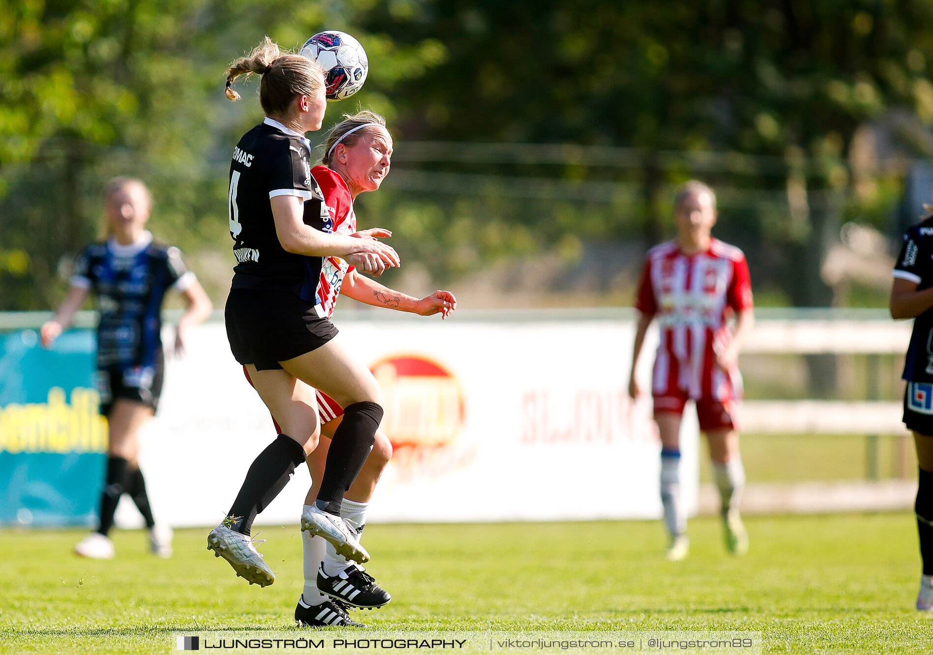 Sils IF-Skövde KIK 1-3,dam,Silbohof,Götene,Sverige,Fotboll,,2024,341757