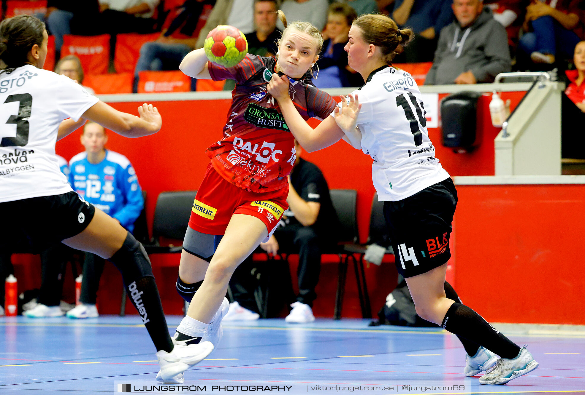 Skövde HF-VästeråsIrsta HF 27-23,dam,Skövde Idrottshall,Skövde,Sverige,Handboll,,2024,345898